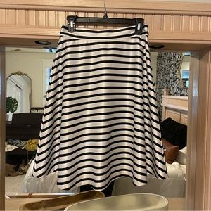 Satin The Limited Skirt